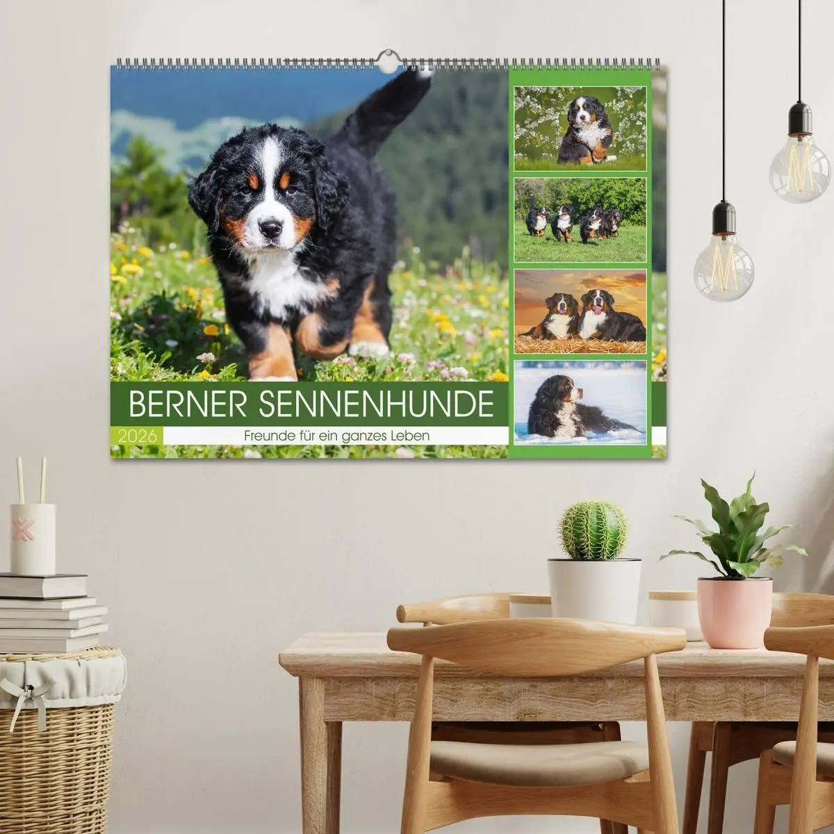 Bild: 9783516718621 | Berner Sennenhunde - Freunde für ein ganzes Leben (Wandkalender...