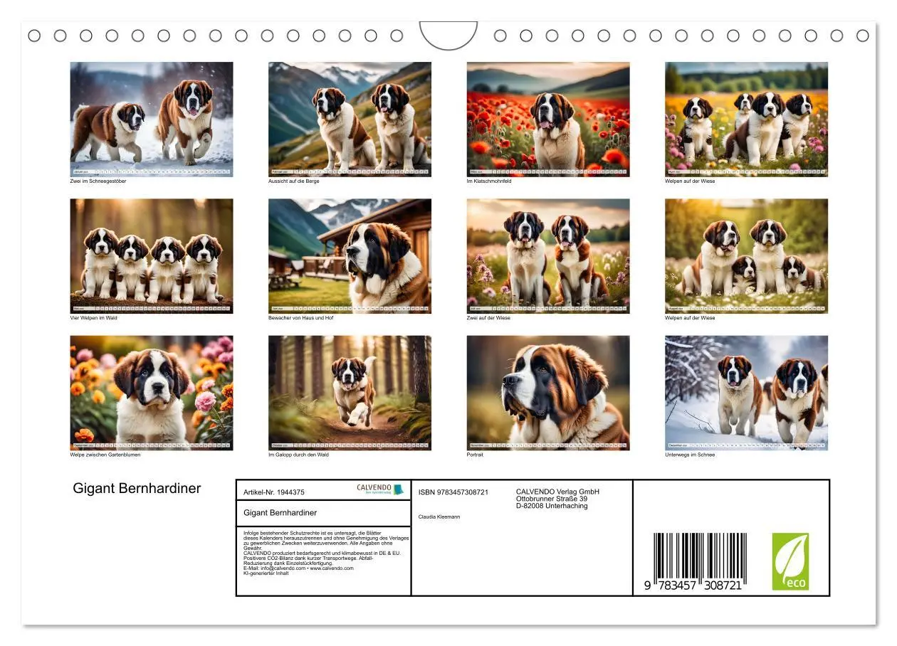 Bild: 9783457308721 | Gigant Bernhardiner (Wandkalender 2026 DIN A4 quer), CALVENDO...