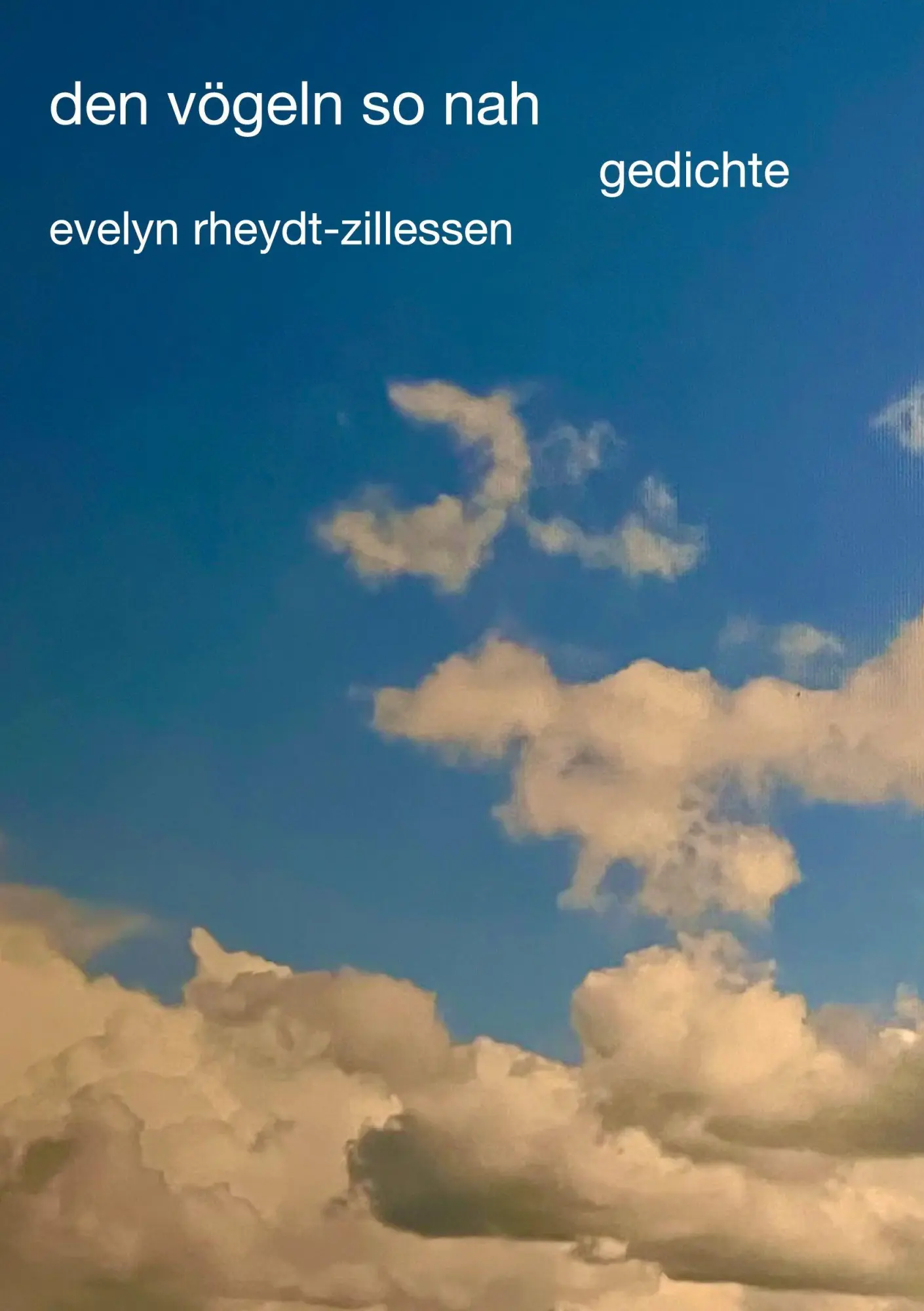 Cover: 9783868708721 | den vögeln so nah | gedichte | Evelyn Rheydt-Zillessen | Taschenbuch