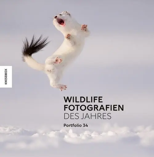 Cover: 9783957288721 | Wildlife Fotografien des Jahres - Portfolio 34 | Museum | Buch | 2024