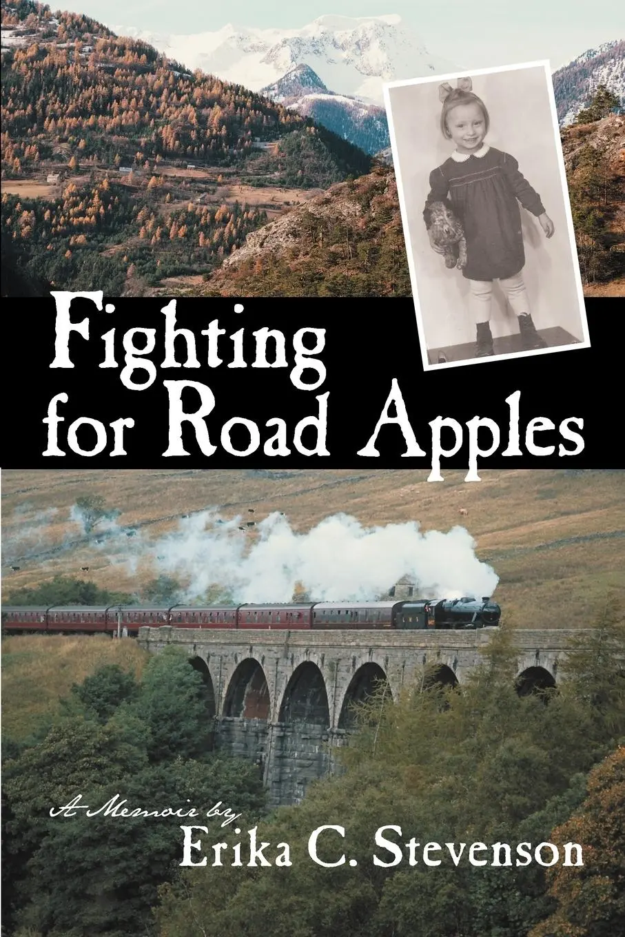 Cover: 9781475938821 | Fighting for Road Apples | A Memoir | Erika C. Stevenson | Taschenbuch