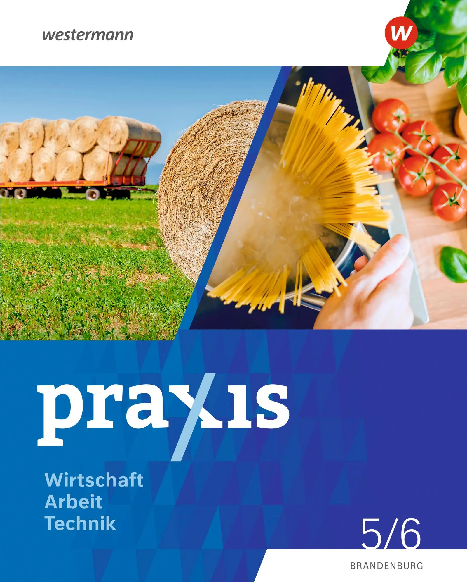 Cover: 9783141178821 | Praxis - WAT 5. / 6. Schuljahr. Schulbuch. Brandenburg | Buch | 136 S.