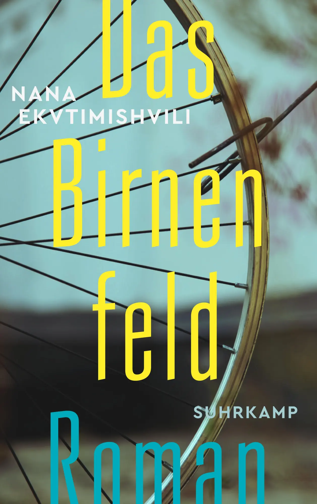 Cover: 9783518468821 | Das Birnenfeld | Nana Ekvtimishvili | Taschenbuch | 221 S. | Deutsch