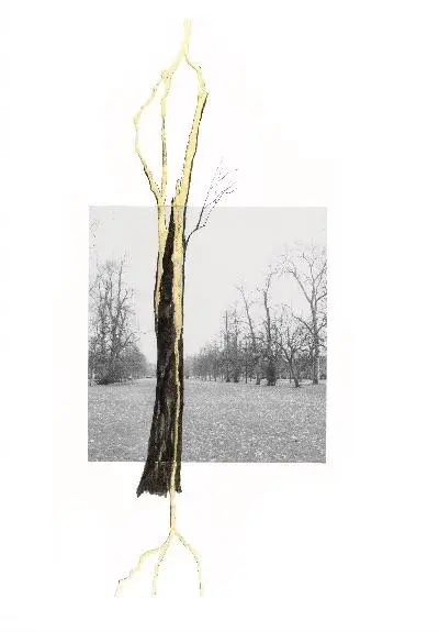 Cover: 9783753308821 | Giuseppe Penone. Thoughts in the Roots | Serpentine Gallery, London