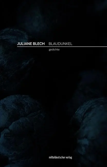 Cover: 9783963118821 | Blaudunkel | Gedichte | Juliane Blech | Taschenbuch | 96 S. | Deutsch