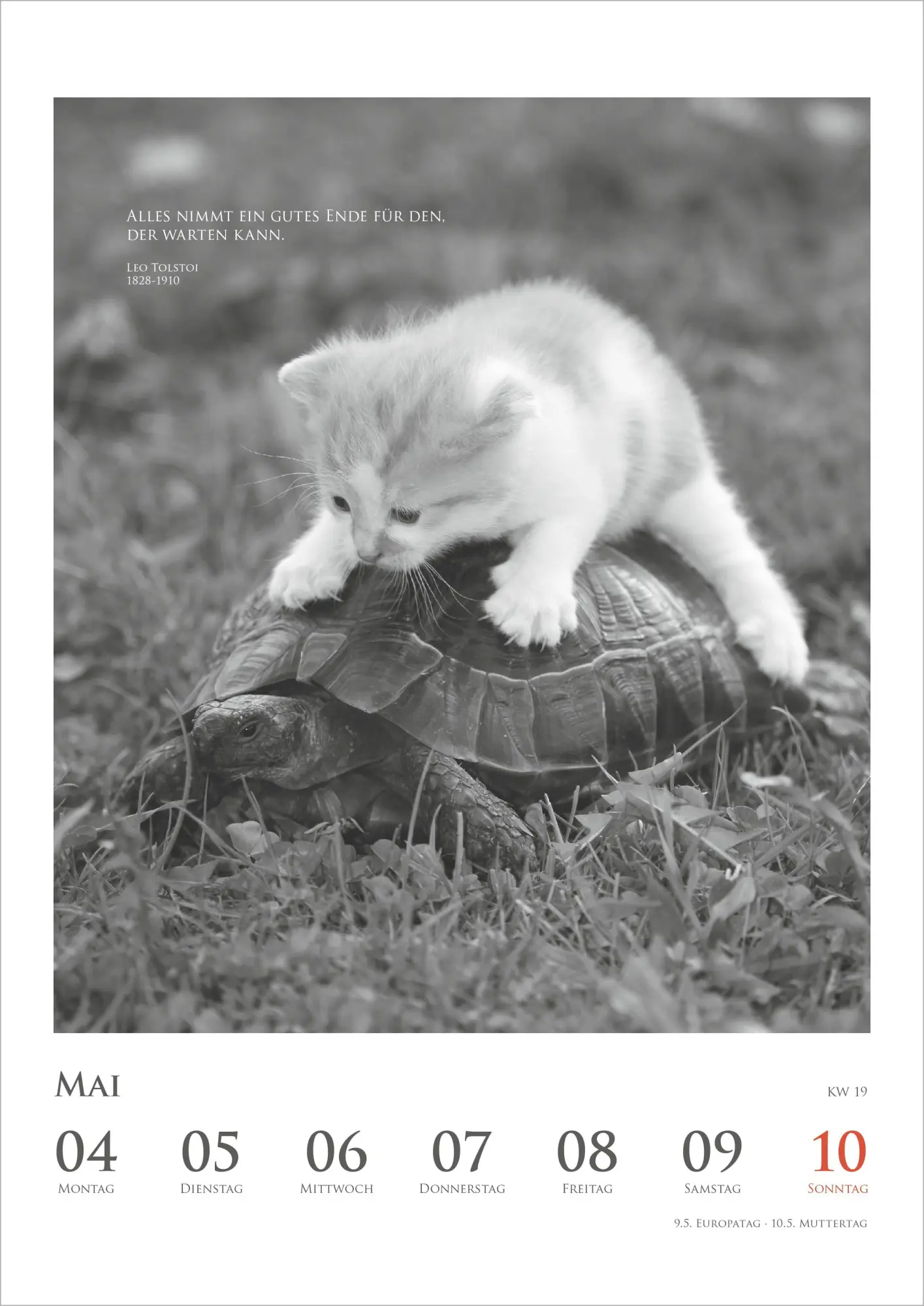 Bild: 4069095018921 | Der poetische Katzenkalender 2027 | Neumann Verlage GmbH &amp; Co KG