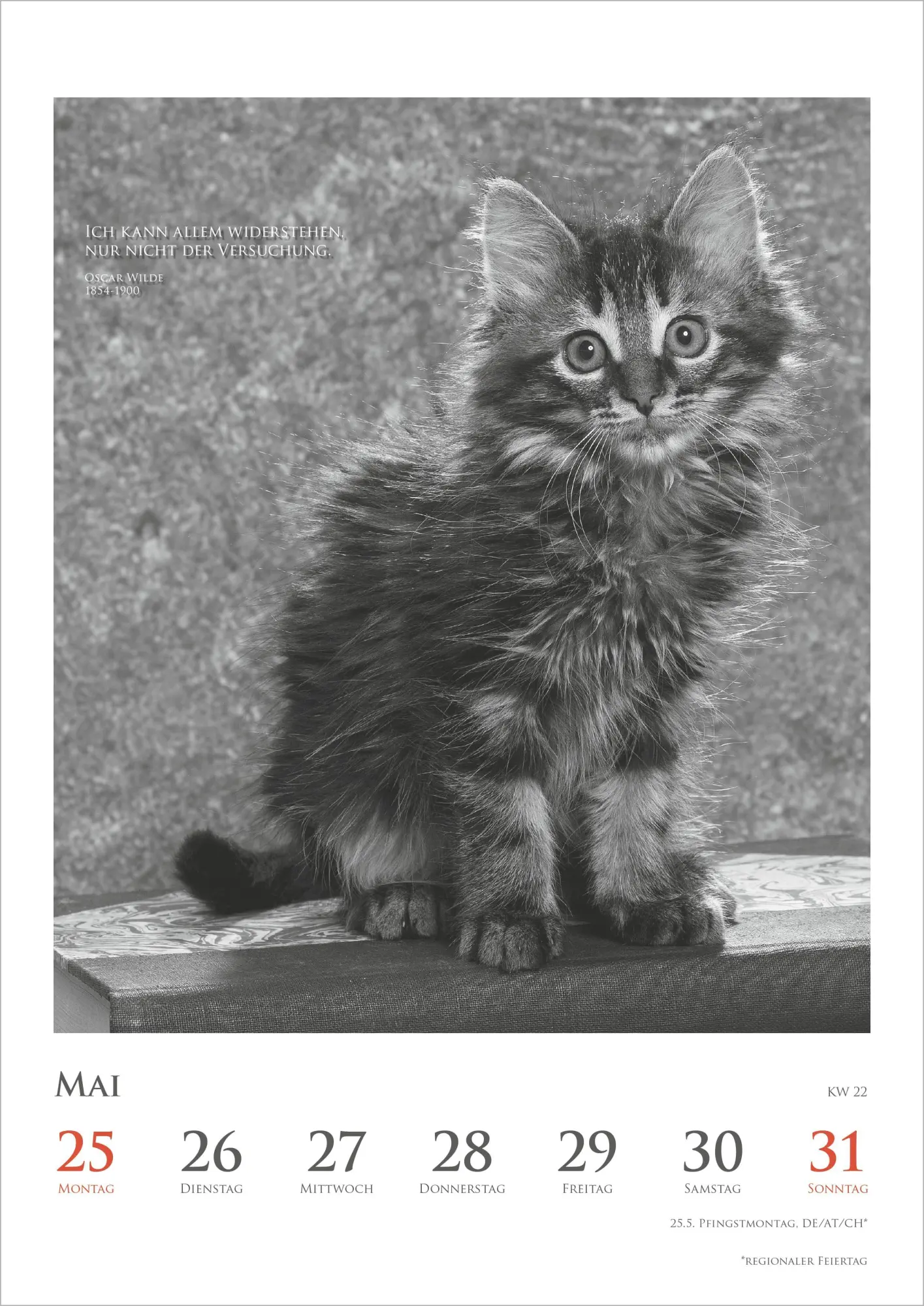 Bild: 4069095018921 | Der poetische Katzenkalender 2027 | Neumann Verlage GmbH &amp; Co KG