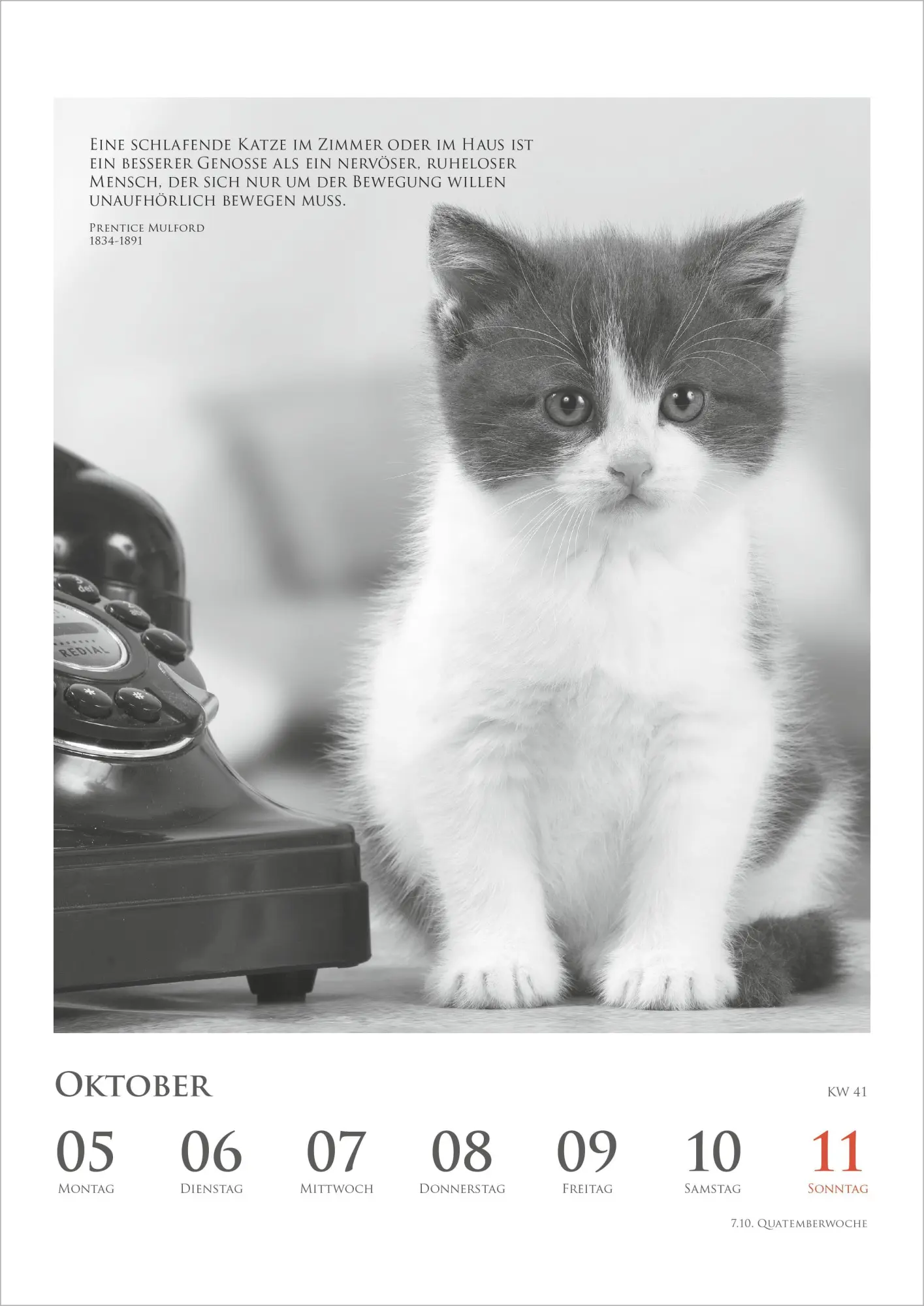Bild: 4069095018921 | Der poetische Katzenkalender 2027 | Neumann Verlage GmbH &amp; Co KG