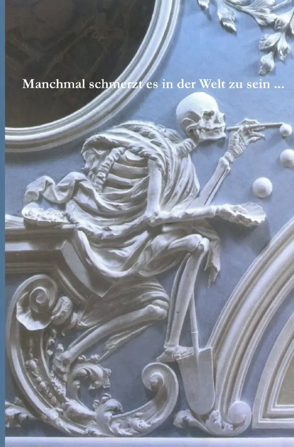 Cover: 9783565058921 | Manchmal schmerzt es in der Welt zu sein ... | Volker Metzger | Buch