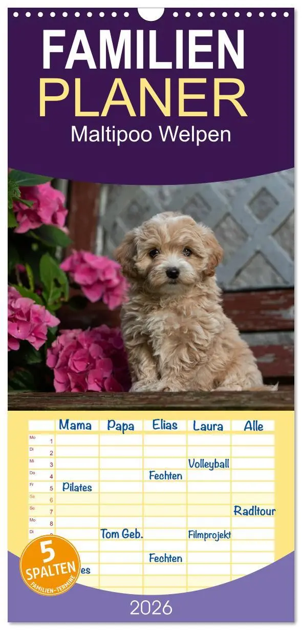 Cover: 9783516509021 | Familienplaner 2026 - Maltipoo Welpen mit 5 Spalten (Wandkalender,...