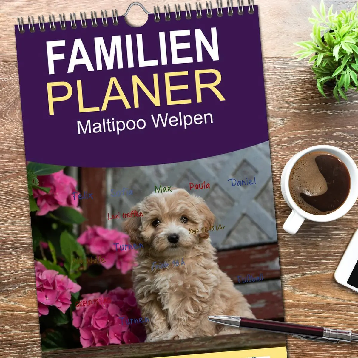 Bild: 9783516509021 | Familienplaner 2026 - Maltipoo Welpen mit 5 Spalten (Wandkalender,...