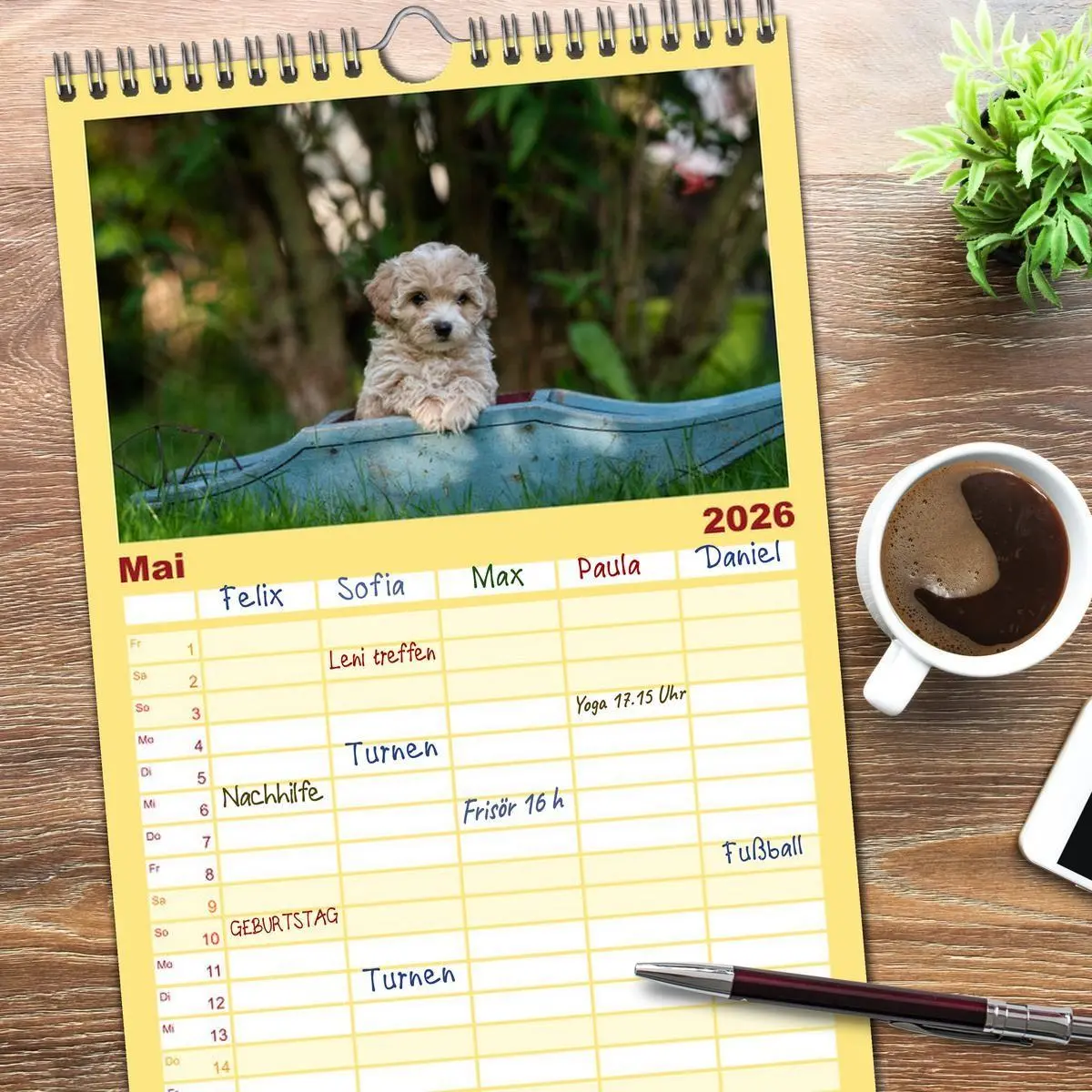 Bild: 9783516509021 | Familienplaner 2026 - Maltipoo Welpen mit 5 Spalten (Wandkalender,...