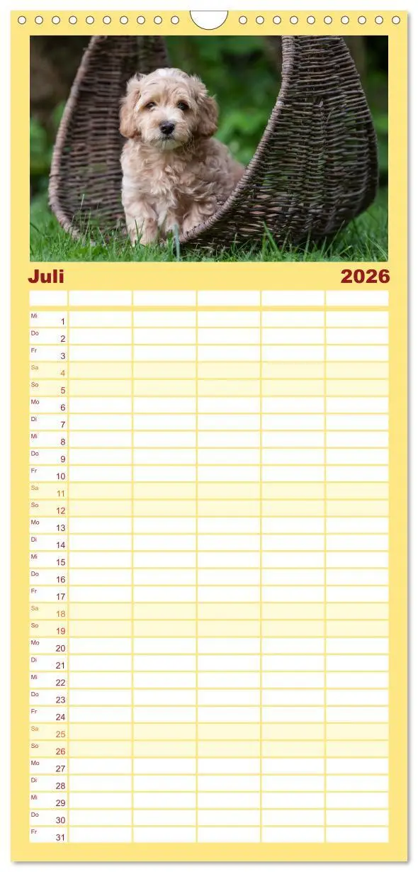 Bild: 9783516509021 | Familienplaner 2026 - Maltipoo Welpen mit 5 Spalten (Wandkalender,...