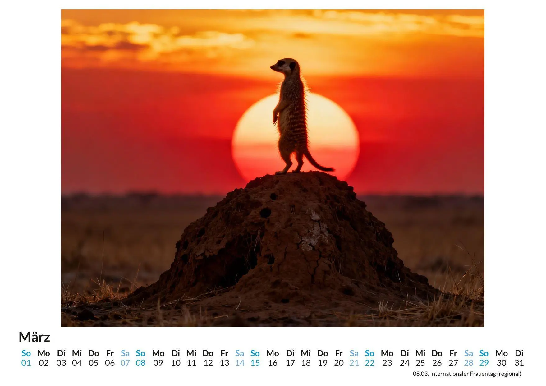 Bild: 9783695329021 | Erdmännchen | Emily Hoffmann | Kalender | Deutsch | 2026 | FlipFlop