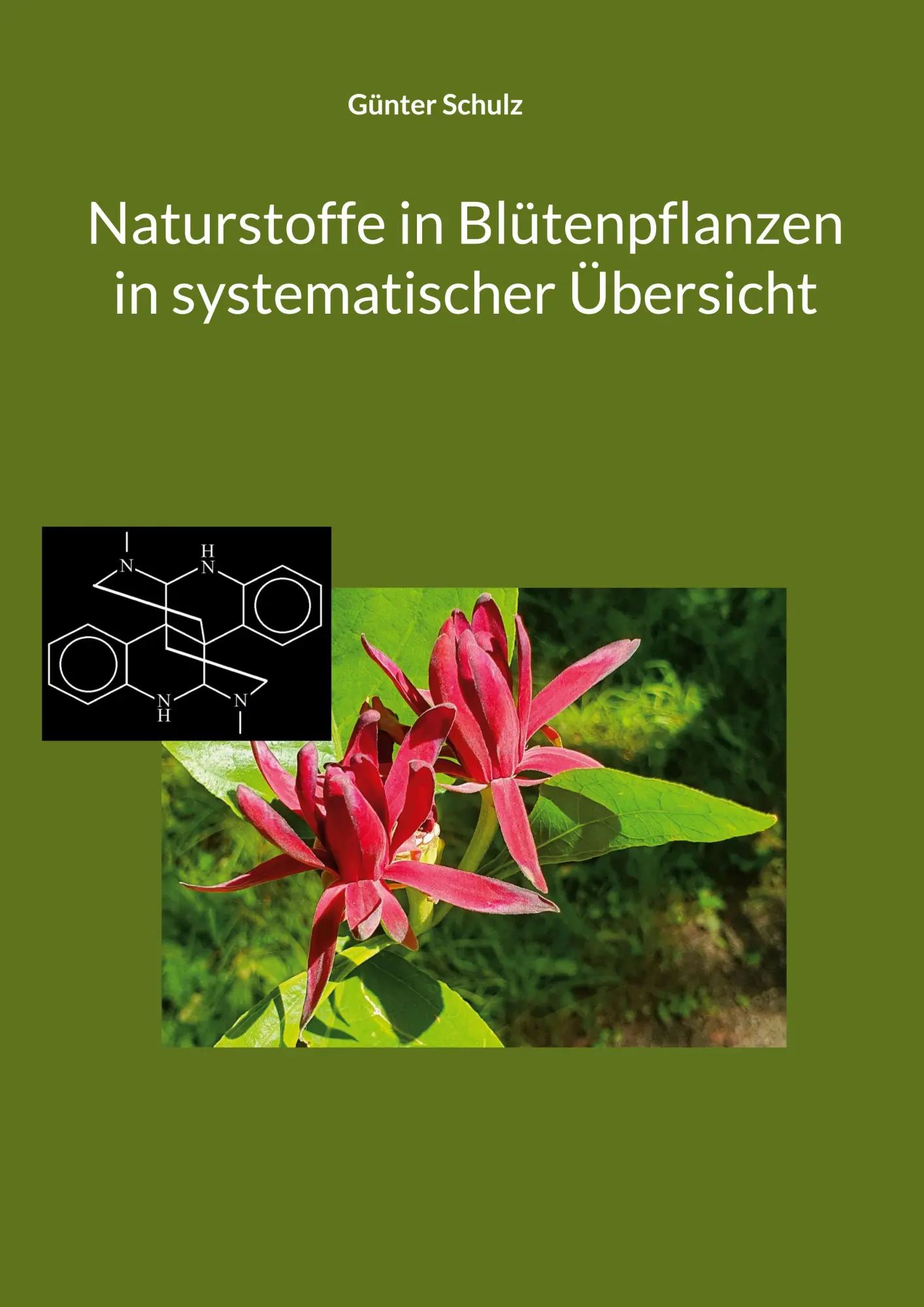 Cover: 9783759779021 | Naturstoffe in Blütenpflanzen in systematischer Übersicht | Schulz