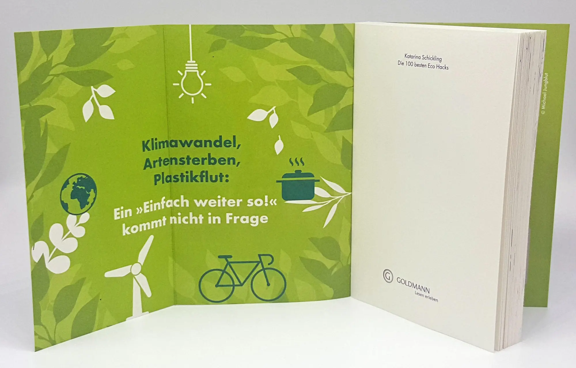 Bild: 9783442179121 | Die 100 besten Eco Hacks | Katarina Schickling | Taschenbuch | 176 S.