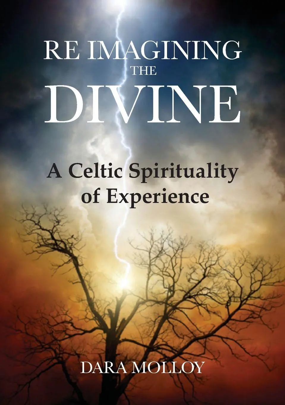 Cover: 9780953479221 | Reimagining The Divine | A Celtic Spirituality of Experience | Molloy