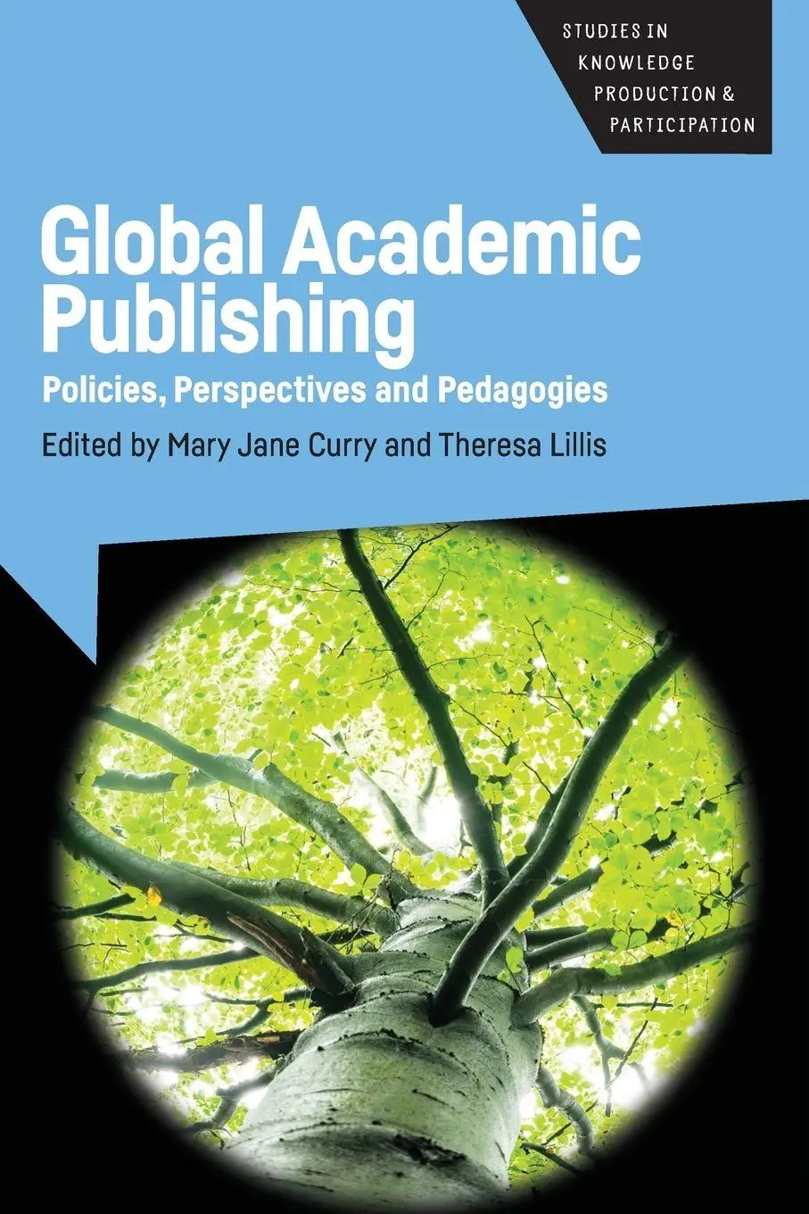 Cover: 9781783099221 | Global Academic Publishing | Policies, Perspectives and Pedagogies