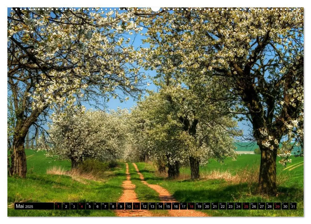 Bild: 9783435789221 | Harz Landschaften (Wandkalender 2025 DIN A2 quer), CALVENDO...