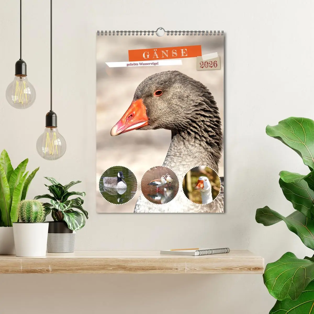 Bild: 9783516349221 | Gänse, geliebte Wasservögel (Wandkalender 2026 DIN A3 hoch),...
