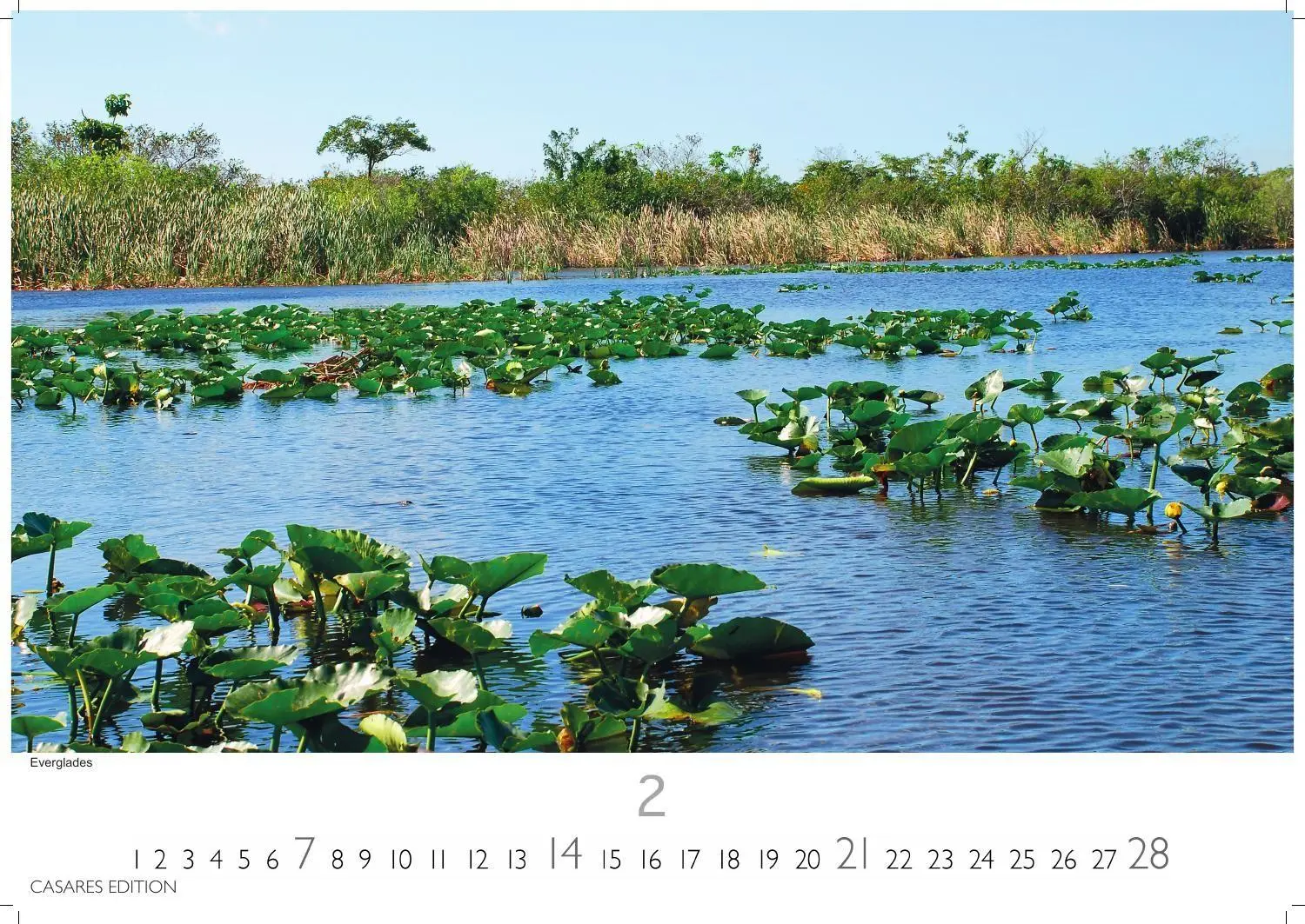 Bild: 9781835249321 | Florida Kalender 2027 - Wandkalender Fotokalender Nordamerika...