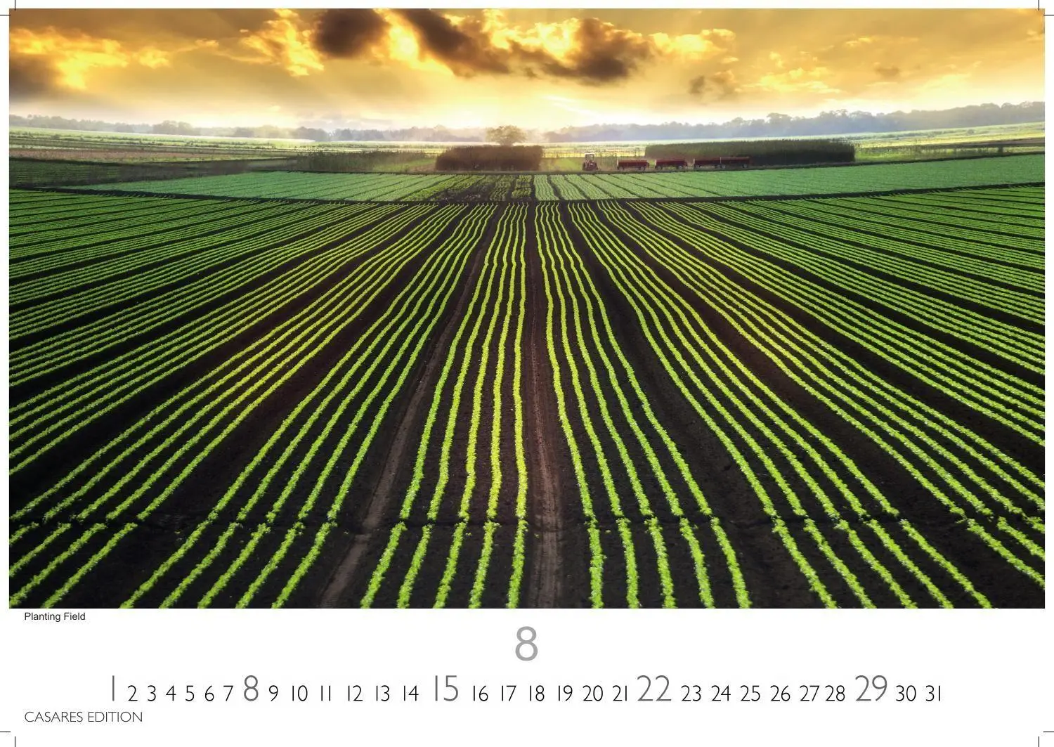 Bild: 9781835249321 | Florida Kalender 2027 - Wandkalender Fotokalender Nordamerika...