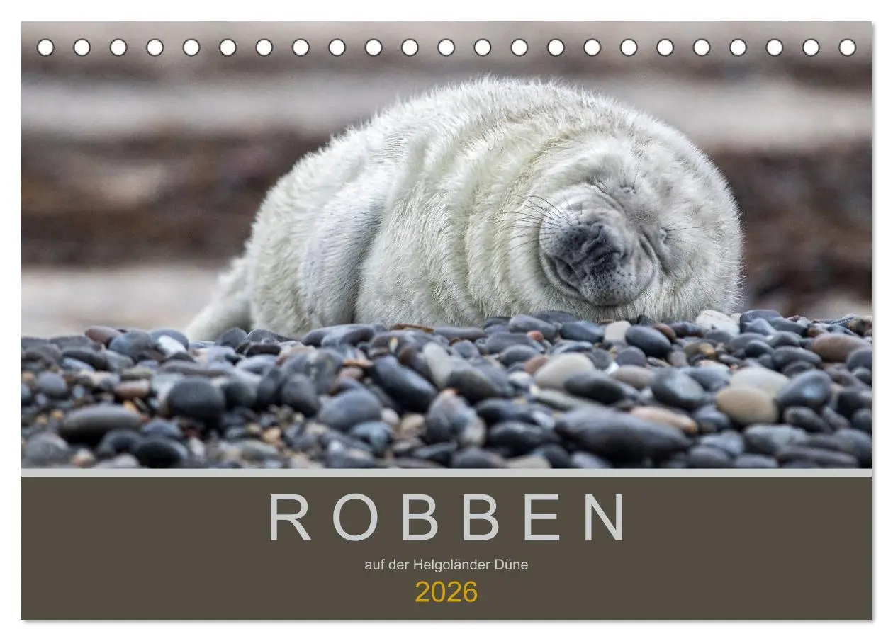 Cover: 9783457939321 | Robben auf der Helgoländer Düne (Tischkalender 2026 DIN A5 quer),...