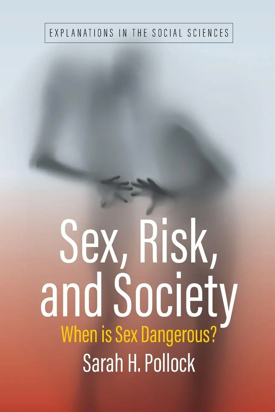 Sex, Risk, and Society