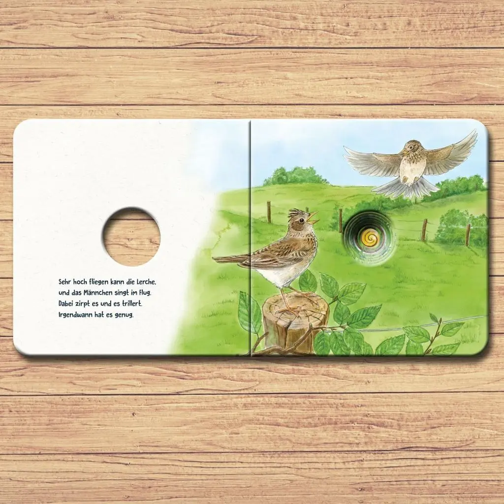 Bild: 9783440169421 | Guck mal auf die Wiese | Lisa Apfelbacher (u. a.) | Buch | 24 S.