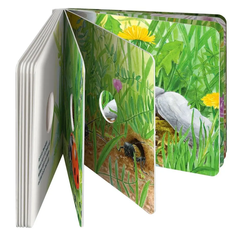 Bild: 9783440169421 | Guck mal auf die Wiese | Lisa Apfelbacher (u. a.) | Buch | 24 S.