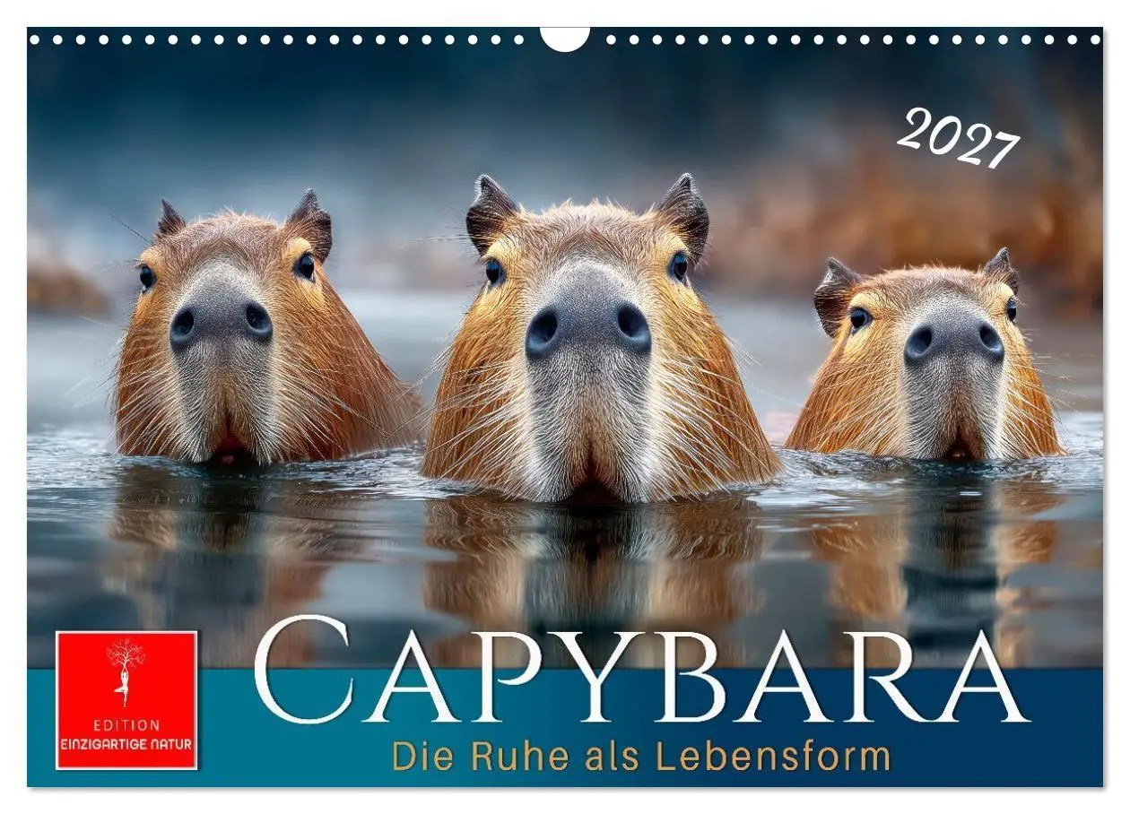 Cover: 9783516799521 | Capybara - die Ruhe als Lebensform (Wandkalender 2027 DIN A3 quer),...