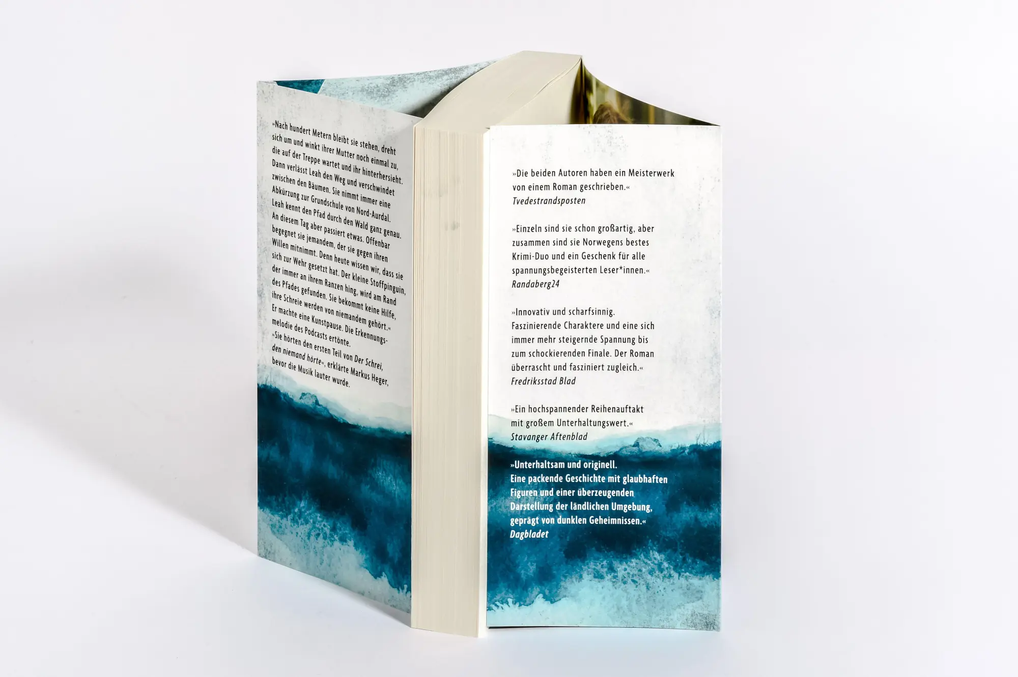 Bild: 9783764509521 | Hörst du den Schrei? | Jørn Lier Horst (u. a.) | Taschenbuch | 368 S.