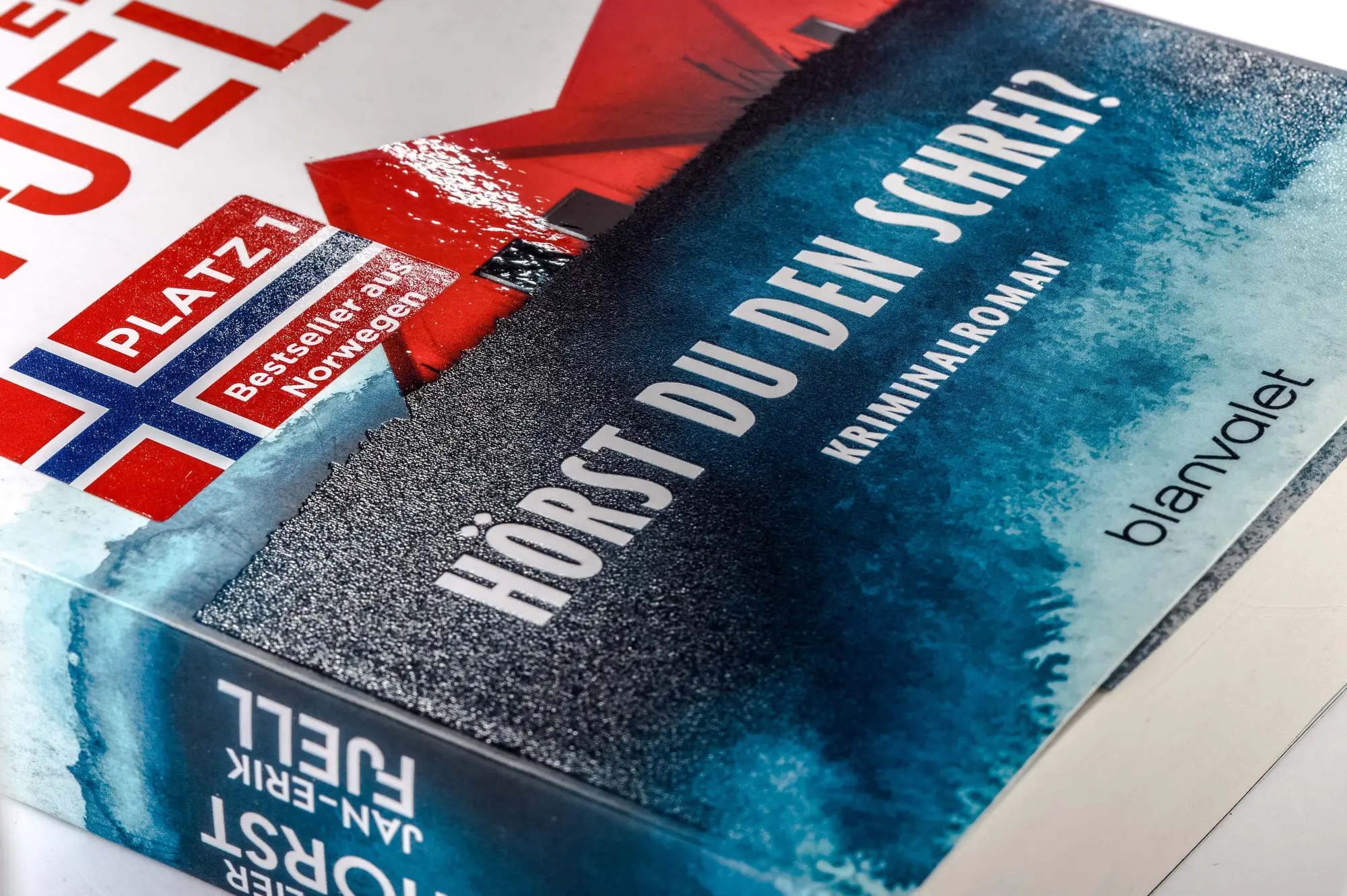 Bild: 9783764509521 | Hörst du den Schrei? | Jørn Lier Horst (u. a.) | Taschenbuch | 368 S.