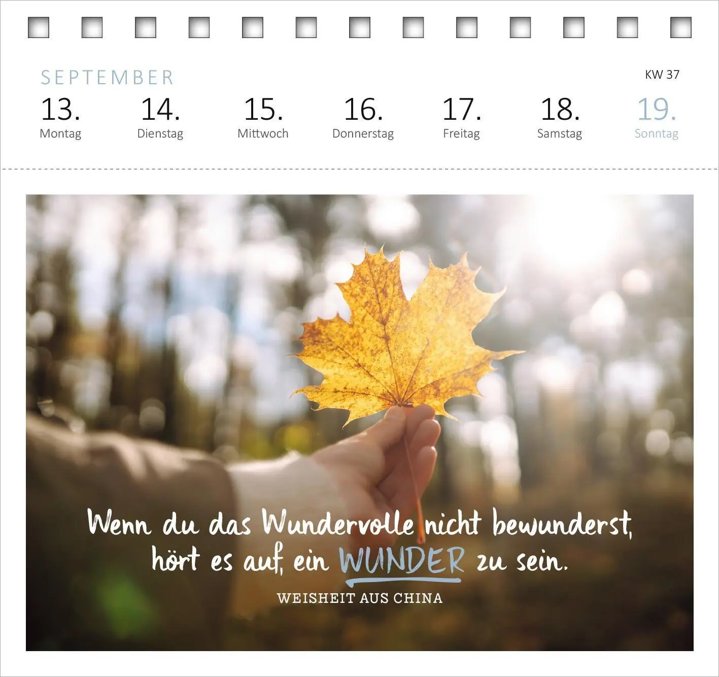 Bild: 4014489139621 | Postkartenkalender Ich wünsch dir was 2027 | Kalender | 108 S. | 2027