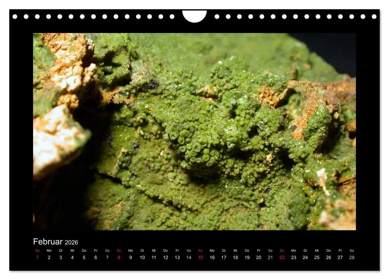 Bild: 9783516169621 | Mineralien aus dem Sauerland (Wandkalender 2026 DIN A4 quer),...