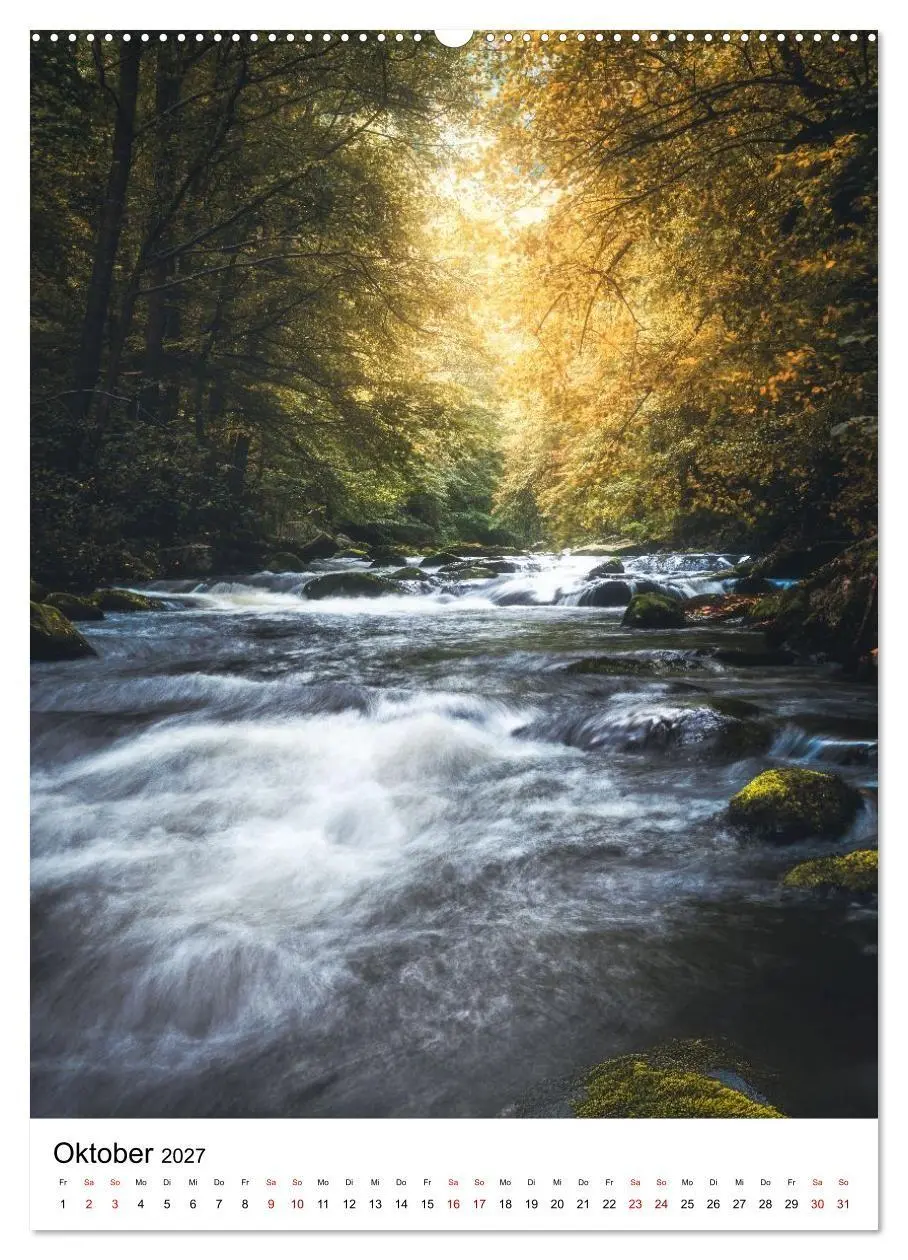 Bild: 9783516859621 | Mystischer Harz - Zwischen Licht und Schatten (Wandkalender 2027...