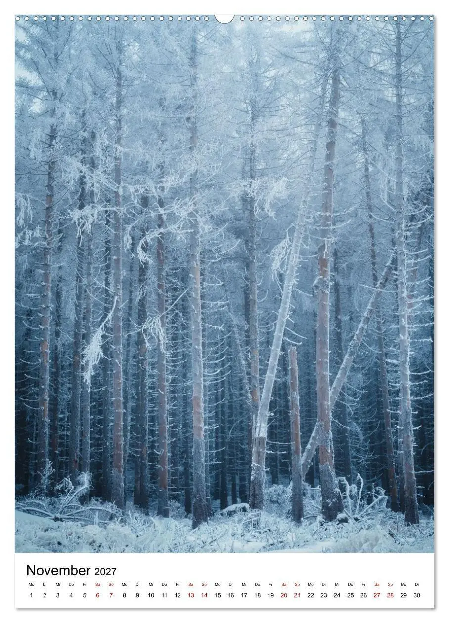 Bild: 9783516859621 | Mystischer Harz - Zwischen Licht und Schatten (Wandkalender 2027...