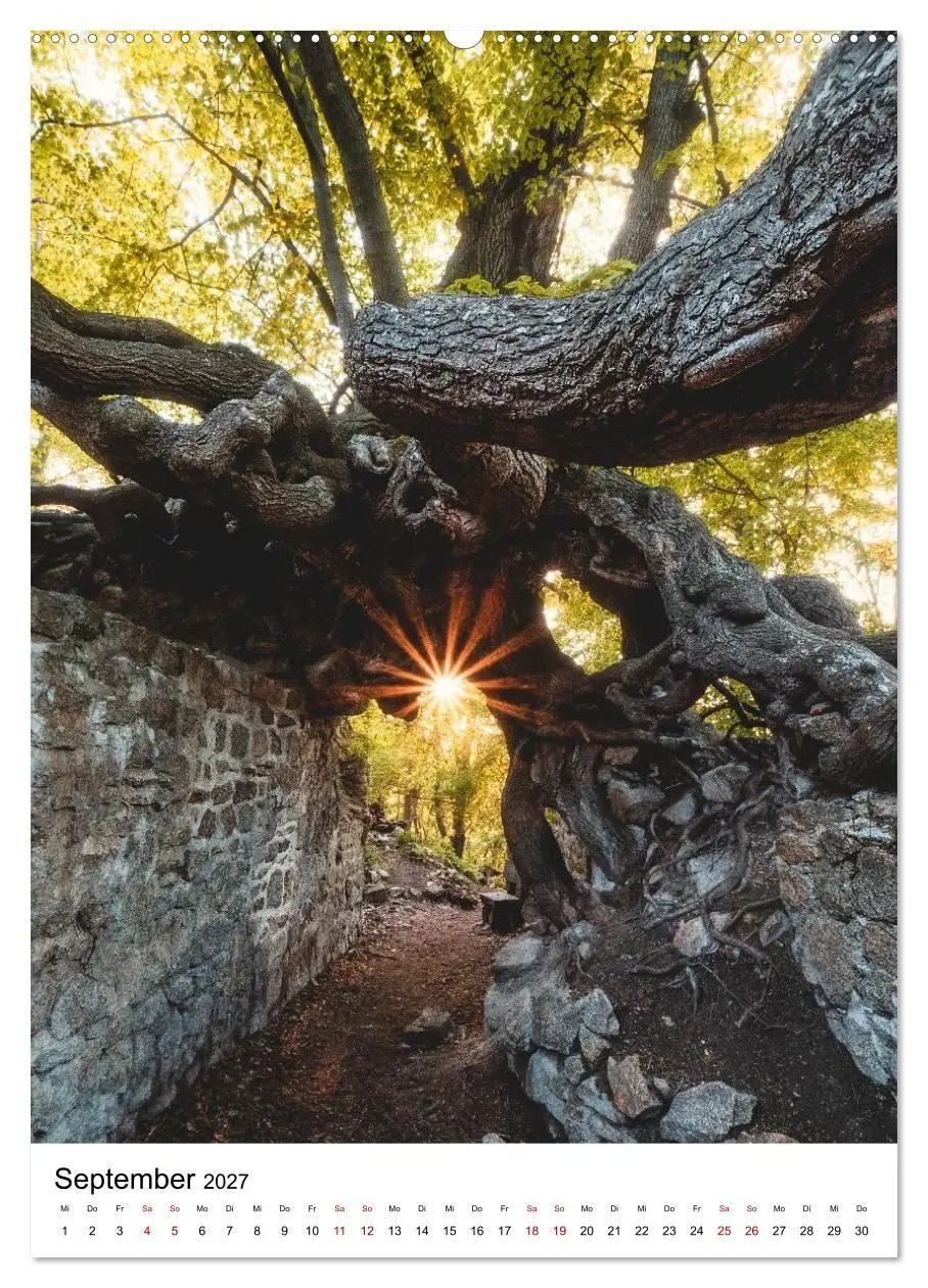 Bild: 9783516859621 | Mystischer Harz - Zwischen Licht und Schatten (Wandkalender 2027...