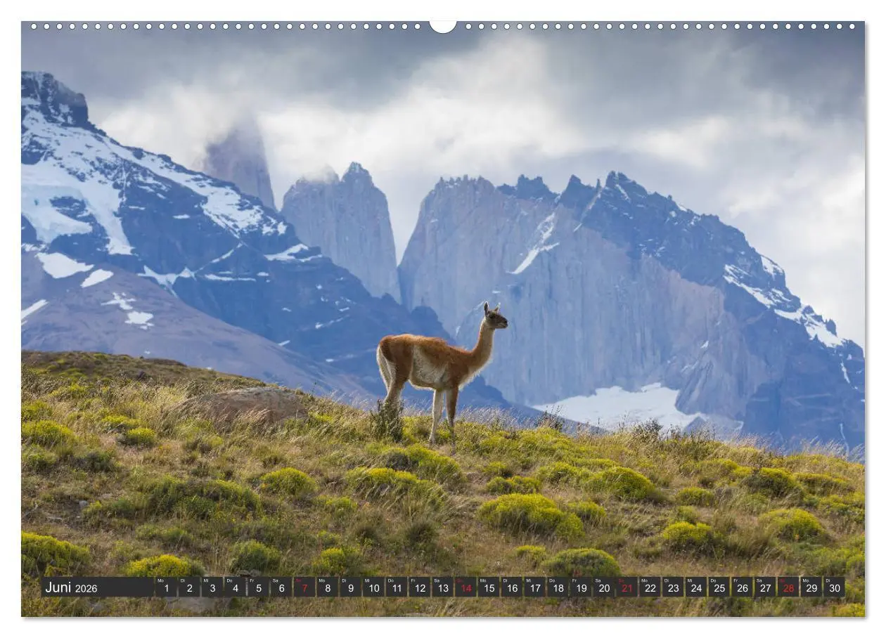 Bild: 9783457689721 | Traumwelt Chile (hochwertiger Premium Wandkalender 2026 DIN A2...