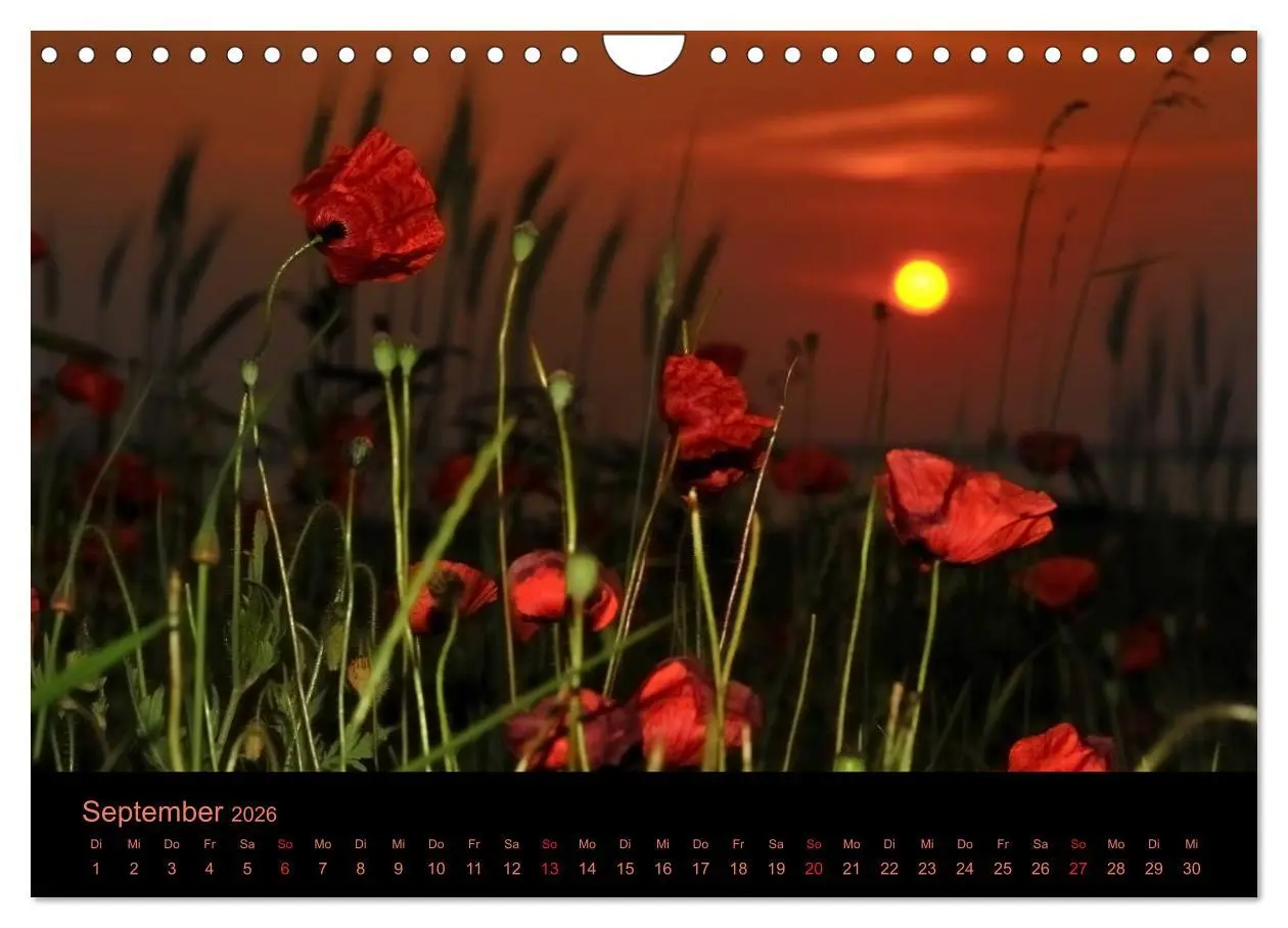 Bild: 9783516229721 | Sonnenuntergang (Wandkalender 2026 DIN A4 quer), CALVENDO...