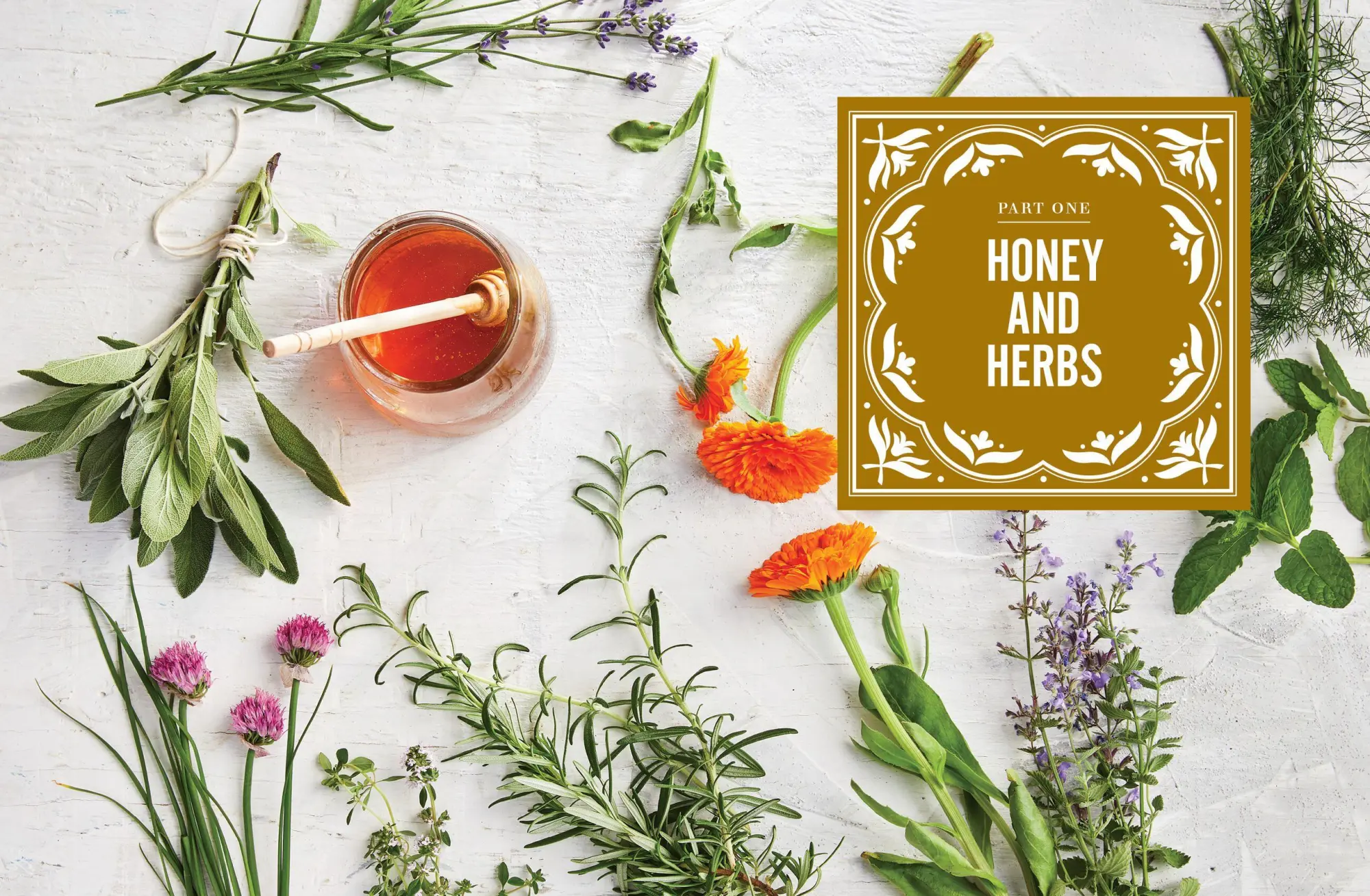Bild: 9781612129921 | Sweet Remedies | Healing Herbal Honeys | Dawn Combs | Taschenbuch