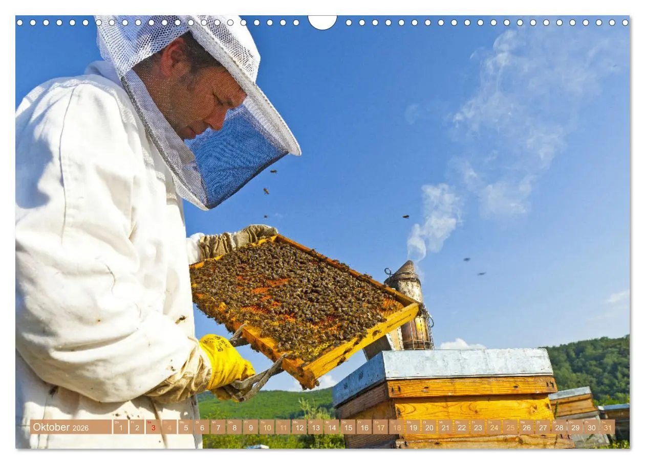 Bild: 9783457289921 | Der Imker: Leidenschaft für die Bienen (Wandkalender 2026 DIN A3...