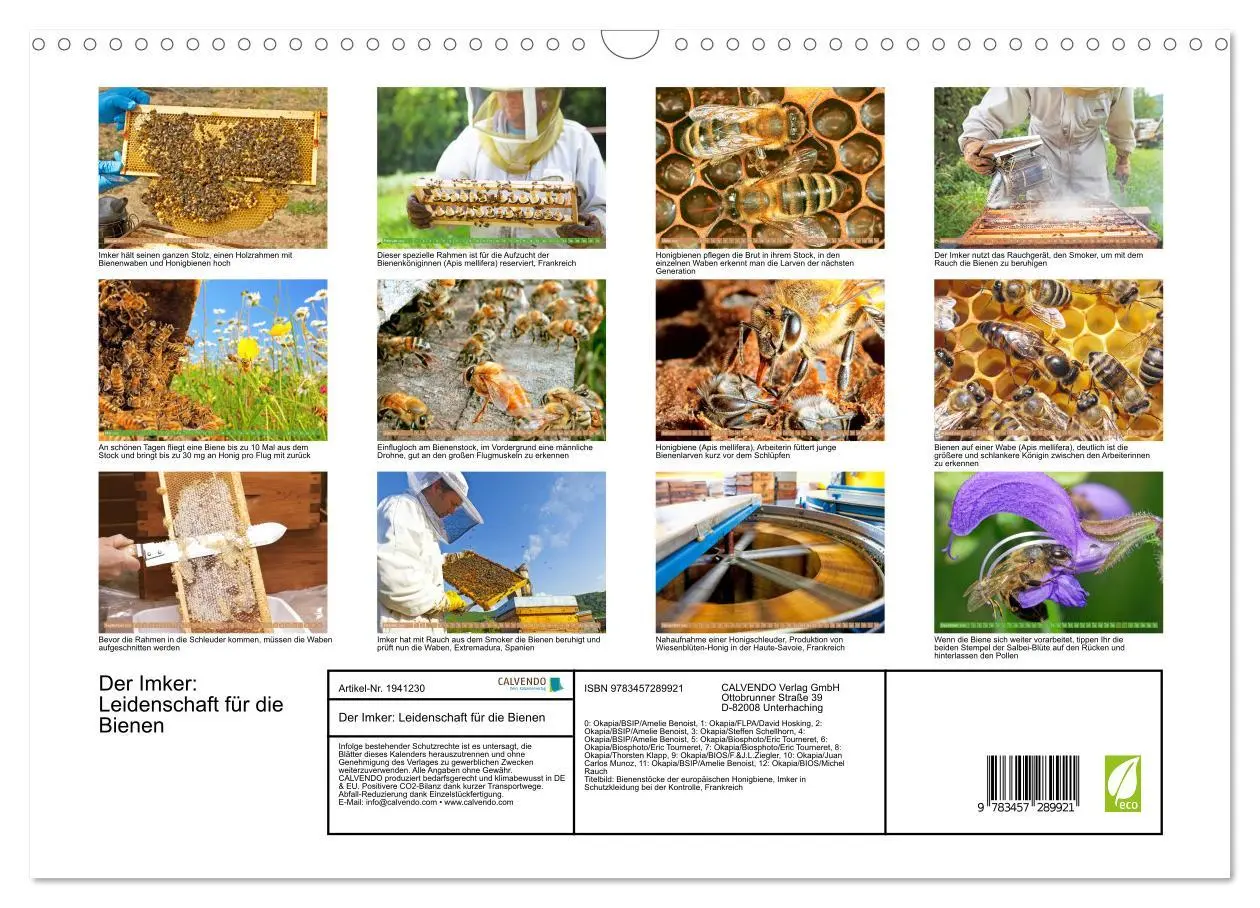 Bild: 9783457289921 | Der Imker: Leidenschaft für die Bienen (Wandkalender 2026 DIN A3...