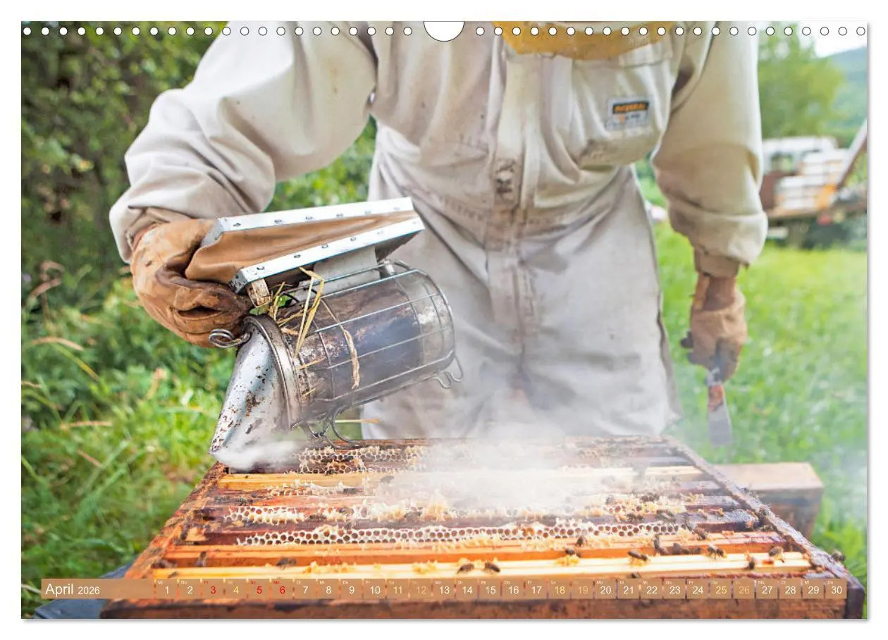 Bild: 9783457289921 | Der Imker: Leidenschaft für die Bienen (Wandkalender 2026 DIN A3...