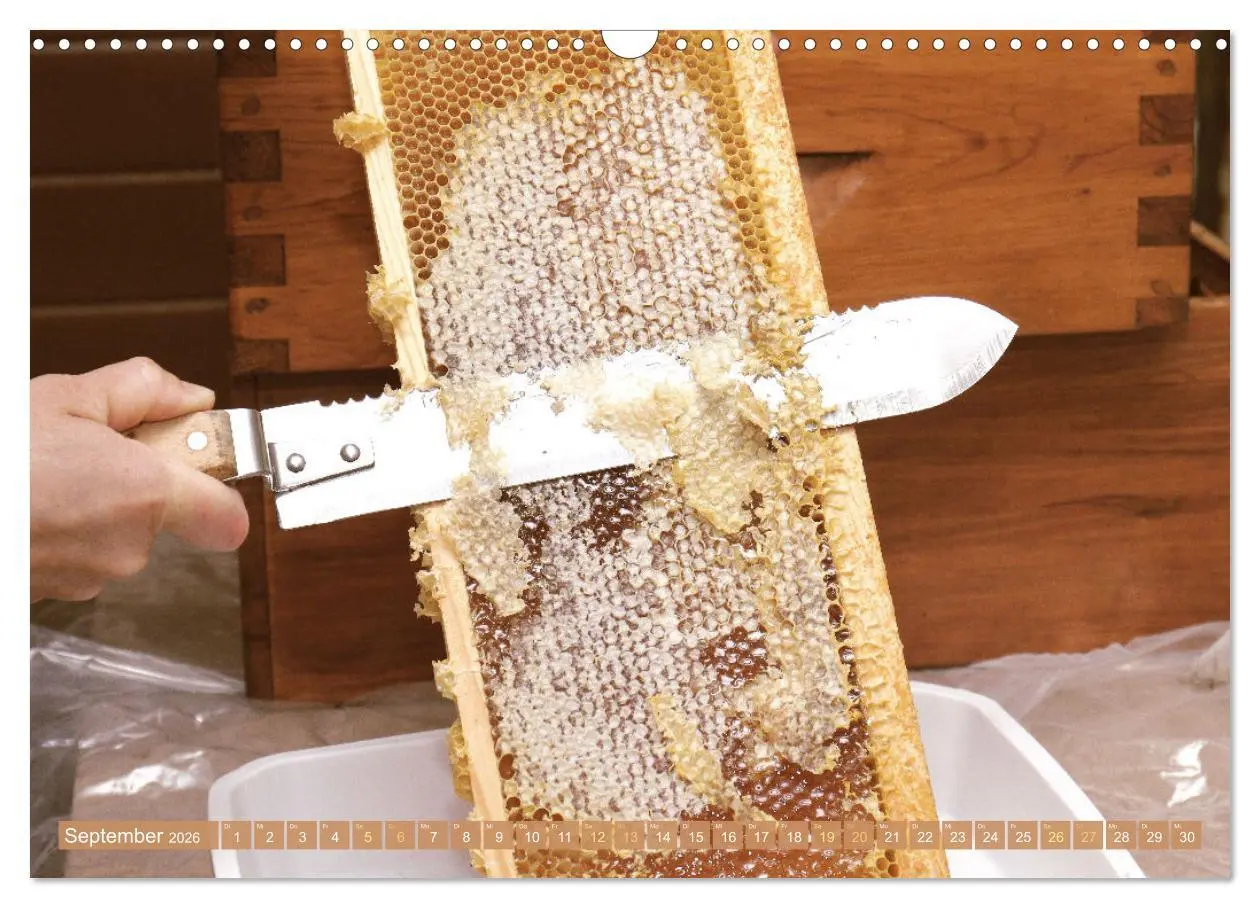Bild: 9783457289921 | Der Imker: Leidenschaft für die Bienen (Wandkalender 2026 DIN A3...