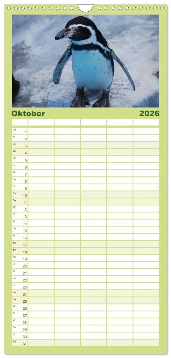 Bild: 9783516519921 | Familienplaner 2026 - Pinguine 2026 mit 5 Spalten (Wandkalender, 21...