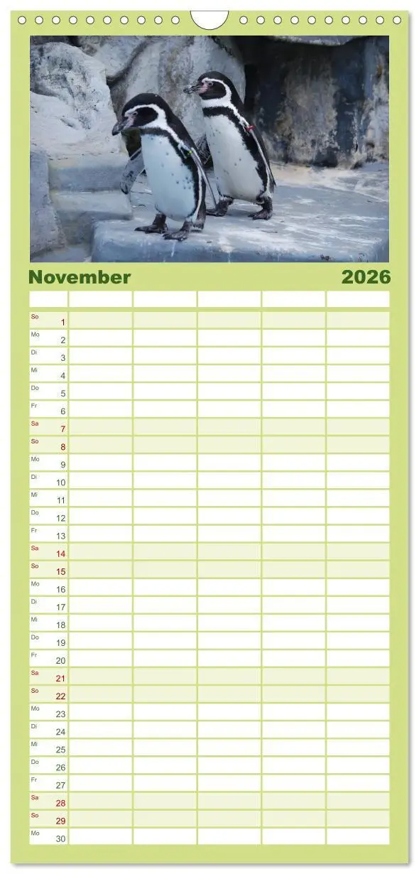Bild: 9783516519921 | Familienplaner 2026 - Pinguine 2026 mit 5 Spalten (Wandkalender, 21...