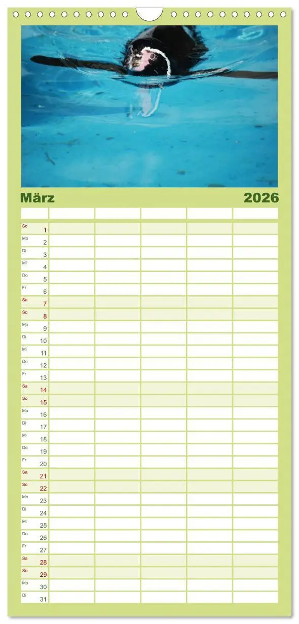 Bild: 9783516519921 | Familienplaner 2026 - Pinguine 2026 mit 5 Spalten (Wandkalender, 21...