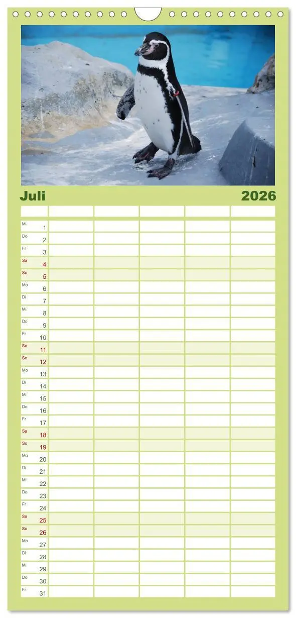 Bild: 9783516519921 | Familienplaner 2026 - Pinguine 2026 mit 5 Spalten (Wandkalender, 21...