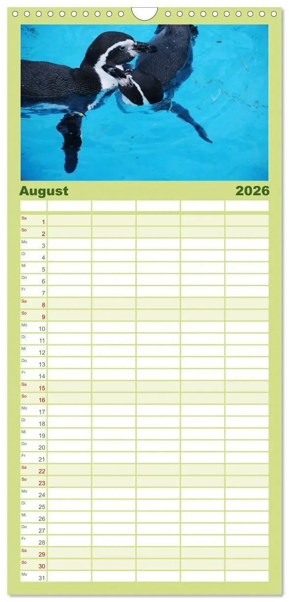 Bild: 9783516519921 | Familienplaner 2026 - Pinguine 2026 mit 5 Spalten (Wandkalender, 21...